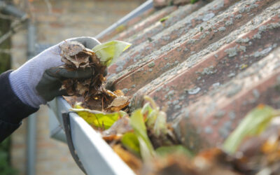 Quand et pourquoi nettoyer ses gouttières ?