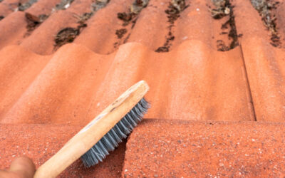 Comment enlever la mousse sur une toiture sans l’abîmer ?